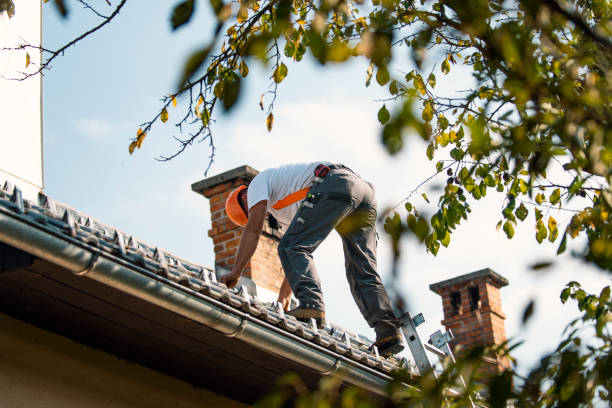 Best Local Roofing Companies  in North Vacherie, LA