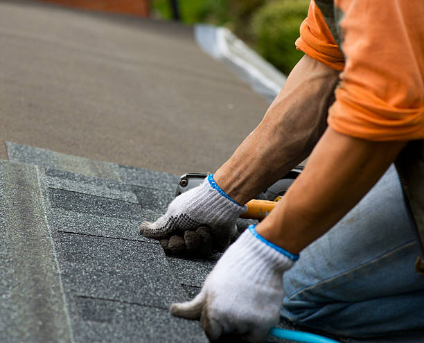 Best Roof Maintenance Services  in North Vacherie, LA