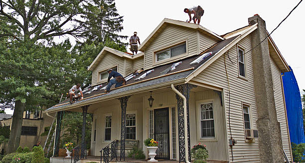 Best Metal Roofing Contractor  in North Vacherie, LA
